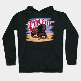 Chorizo Dog Hoodie